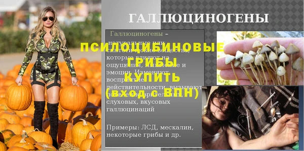 СК Осинники