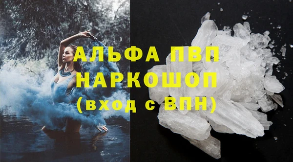 индика Няндома