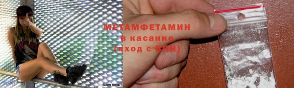 индика Няндома