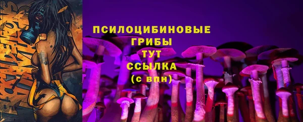 таблы Осташков